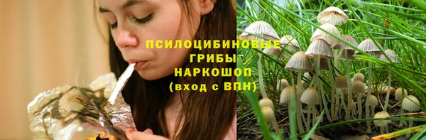 прущий лед Аркадак