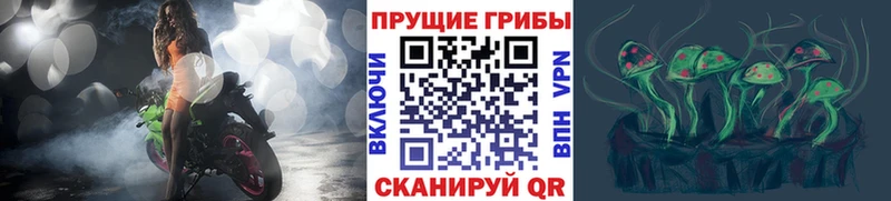 сколько стоит Дорогобуж Псилоцибиновые грибы прущие грибы